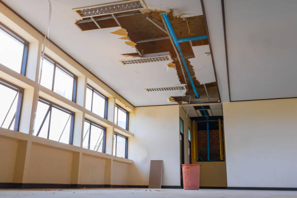 Best Local water damage restoration  in Gridley, IL