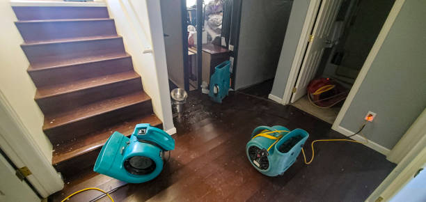 Best Residential water damage restoration  in Gridley, IL