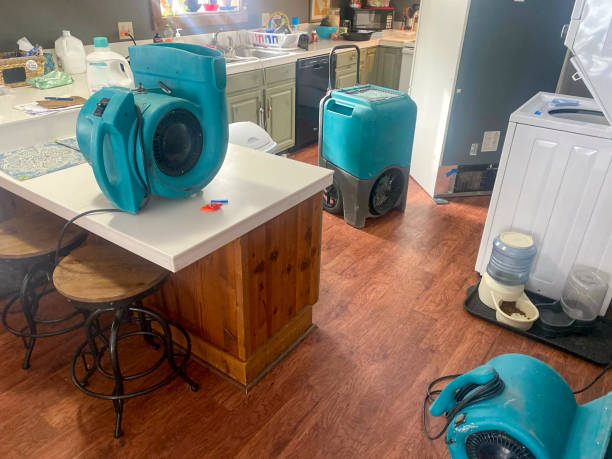 Best Water damage restoration cost  in Gridley, IL