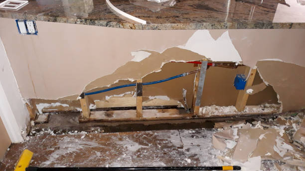 Best Fire Damage Restoration  in Gridley, IL