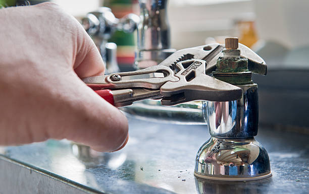 Best Basement water damage restoration  in Gridley, IL