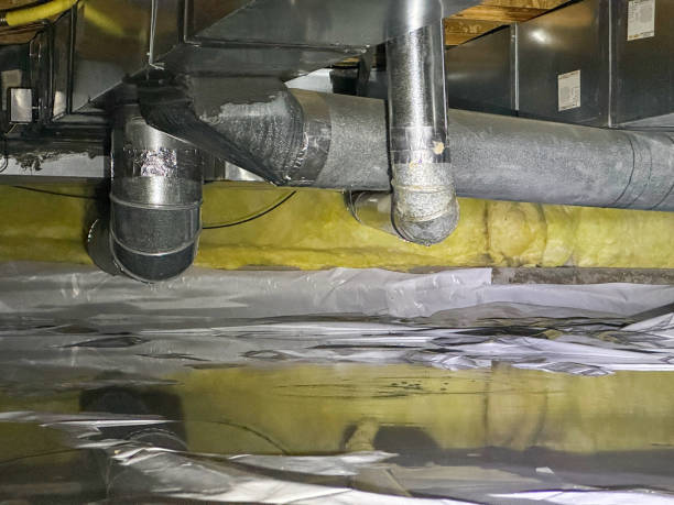 Best Ceiling water damage repair  in Gridley, IL