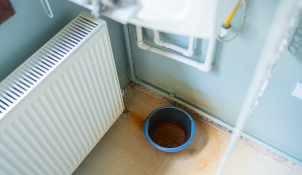 Best 24-hour water damage restoration  in Gridley, IL