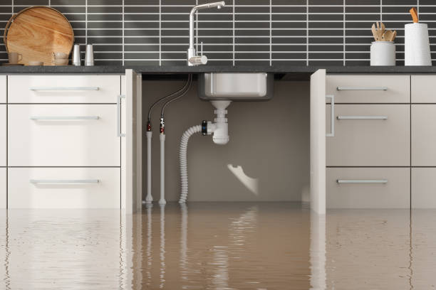 Best Commercial water damage restoration  in Gridley, IL