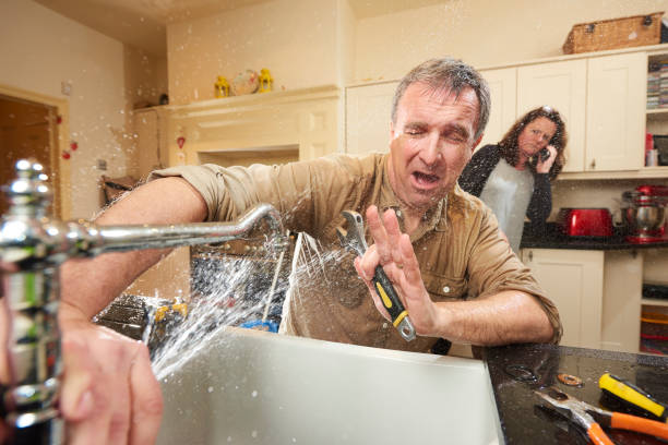Best Water damage cleanup near me  in Gridley, IL